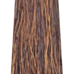 MS CREATIVE 800x240px105