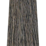 MS CREATIVE 800x240px11