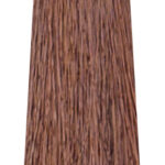 MS CREATIVE 800x240px110