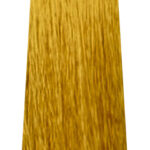 MS CREATIVE 800x240px128