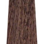 MS CREATIVE 800x240px49