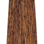 MS CREATIVE 800x240px50