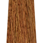 MS CREATIVE 800x240px52